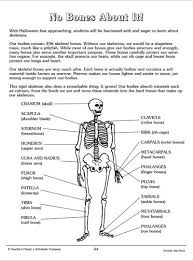 No Bones About It Nonfiction Passages Science Printables Teaching Science