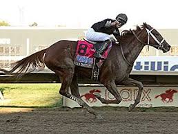 Pin On Race Horses Most Of The Time