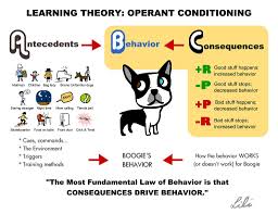 Abc Learning Theory Operant Conditioning Learning Theory Learning Abc