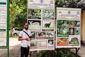 Image result for Burttdavya