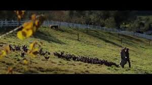 After years of excuses they asked what they'd do if they weren't afraid. The Biggest Little Farm Tv Movie Trailer Ispot Tv