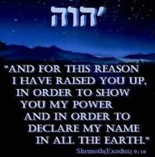 Pin By Karen Palmer On Torah Life Torah Black Knowledge Bible