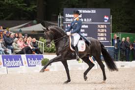 The dutch rider competed the gribaldi son internationally in 2009 and. Chio Rotterdam Edward Gal Claims 10th National Title