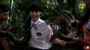 The exception to this is a group of rattlesnakes, which is called a rhumba. Funny J Hope Being Afraid Of Snake So Lovely Snake Fan Of Bts Youtube