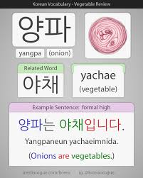 Korean Word For Onion Korean Words Korean Language Learning Korean Language