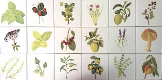 Shop online at floor and decor now! Floral Tiles Floraltilesuk Twitter
