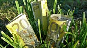 Plata Pe Inverzire Covorul Verde Pentru Zie Inființare Termene Culturi Ce Se Pot Folosi
