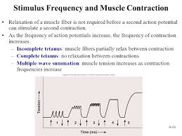 Muscular System Histology And Physiology Ppt Video Online Download
