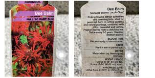 This allows them to put on the best floral display and create dense growth. Bee Balm 101 How Why You Should Grow This Native Plant Bird Watching Hq