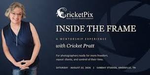 CricketPix: Inside the Frame
