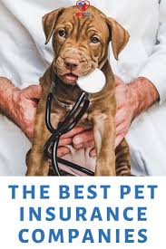 2020 Best Pet Insurance Reviews For Dogs And Cats Ifl Pets In 2020 Best Pet Insurance Pet Insurance Reviews Pet Insurance Dogs