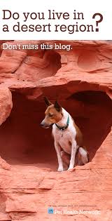 Valley Fever Coccidioidomycosis In Dogs Pethealthnetwork Dogs Valley Fever Pet Health