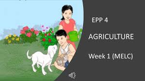 Module 5 answer key by nrweg3 23819 views. Epp 4 Agriculture Week 1 Melc Quarter 3 Youtube