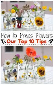 A classic flower press that comes with rubber legs or nubs will protect your counters and furniture from scratches or damage. How To Press Flowers Red Ted Art Make Crafting With Kids Easy Fun