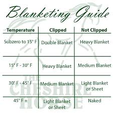 Horse Worming Chart Unique Unsure Which Blanket To Use On