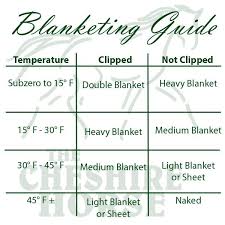 horse worming chart unique unsure which blanket to use on