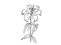 Click here to download the adobe flash player. Bouquet Of Flowers 160844 Nature Printable Coloring Pages