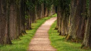 A pesar de que habían tenido una relación muy. Camino Del Amor Martes Santo Oblate