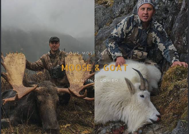 Mountain Goat – Terminus Mountain Outfitters