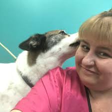 TOP 10 BEST Self Dog Wash in Ventura, CA