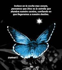 Pin By Marta C On Mariposas Frases Positivas Lockscreen Lockscreen Screenshot
