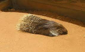 Dapatkan inspirasi dari kata kata bijak & mutiara kehidupan. à¦¦ à¦¶ à¦¸à¦œ à¦° à¦‰à¦‡à¦• à¦ª à¦¡ à¦¯