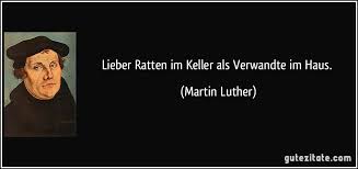 Möchten sie weder zur chemischen keule greifen, noch die ratten mithilfe ihres natürlichen feindes, der katze bekämpfen, können sie selbst hand anlegen und rattenfallen aufstellen. Lieber Ratten Im Keller Als Verwandte Im Haus