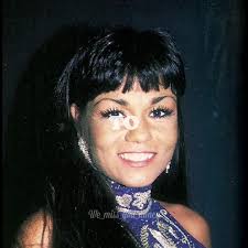 Nancy Benoit Theme