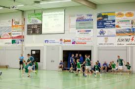 Betten braun produkte zum wohlfã¼hlen: Tv Flein Handball Herren 1 Gegen Neckarsulm 2012
