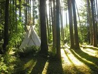Rewilding the Sacred: 4-Day Herbalism & Yoga Retreat