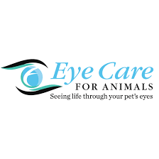 9 reviews of eye care for animals if your pet has an eye problem, this is the only place you want to go. Eye Care For Animals 6000 Northern Pass Dr Building D Suite A El Paso Tx 79911 Usa