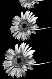 Black And White Aesthetic Lockscreen Tumblr Best Aesthetic Lockscreen Wallpaper Full Hd Black And White Wallpaper Iphone Tumblr Iphone Wallpaper Tumblr Wallpaper