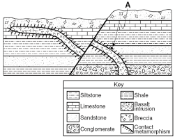 Fault Diagrams Worksheets Google Search