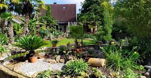 Lass dich von fotos aus meinem exotengarten im münchner südosten 500m über nn inspirieren! Exotengarten In Der Sommersonne Offene Gartenpforte Heimatreport