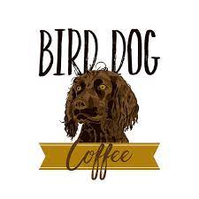 Pin By Dori Dublinski On Drinks Space Dog Bird Dogs Spaniel Rescue