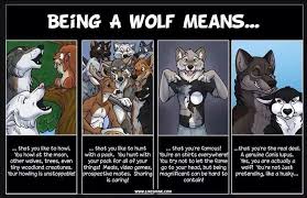 Being A Wolf Means Anthro Furry Furry Comic Furry Art