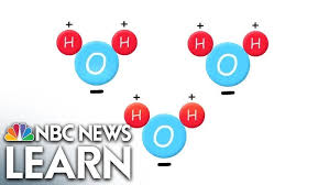 Is Distilled Water Organic Or Inorganic? Is It Good For Organic Life?
