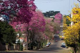 Hospedagem, gastronomia, entretenimento, do litoral a serra gaúcha, do verão ao inverno gaucho Um Grande Destino Turismo No Rio Grande Do Sul