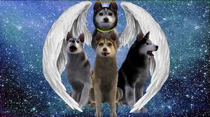 Gone to the snow dogs. Gone To The Snow Dogs In Sims 3 Read The Description Youtube