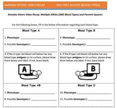 Download, fill in and print multiple alleles (abo blood types) and punnett squares worksheet pdf online here for free. 29 Amoeba Sisters Handouts Ideas Handouts Biology Worksheet How To Memorize Things
