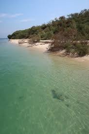 The specialities are rice with seafood and copious fish soup, as well as the chefi's ceviches. Como Chegar E O Que Ver Em Troia Portugal Viaje Comigo