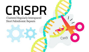 Crispr Things You Should Know About Crispr Gene Editing Tool Cancer Fighting Gene Expression Clinical Trials