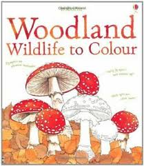 This paper is gorgeous and makes the colors are as bright as they are on the original watercolor painting. Woodland Wildlife To Colour Nature Colouring Books By Susan Meredith Book The 9781409547334 Ebay