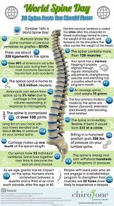 I highly recommend sport and spine physical therapy. World Spine Day Backpain Chiropractor Humor Chiropractic Wellness Chiropractic