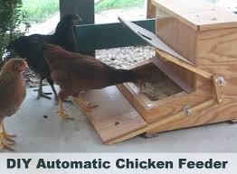 Waterproof & Rat Proof Treadle Chicken Feeders [3 Best Reviewed] -