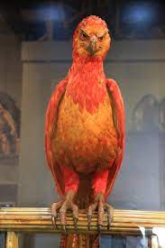 Datei The Making Of Harry Potter 29 05 2012 Fawkes Jpg Wikipedia