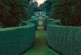 Chatsworth House Garden Garden Hedges English Garden Design Topiary Garden