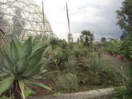 Botanischer Garten Dusseldorf
