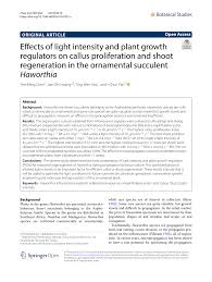 Ralstonia solanacearum is a bacterium that ideally thrives in temperatures greater than 90 degrees fahrenheit (32 degrees celsius) and requires humid conditions. Pdf Effects Of Light Intensity And Plant Growth Regulators On Callus Proliferation And Shoot Regeneration In The Ornamental Succulent Haworthia