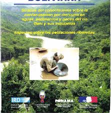 El mercurio en la amazonia boliviana : sintesis del conocimiento sobre la  contaminacion por mercurio en aguas, sedimentos y pece